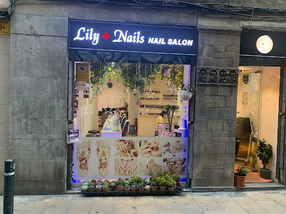 LILY NAILS - Opiniones y Contacto