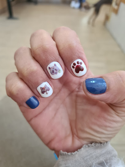 Taller De Uñas Alegre - Opiniones y Contacto