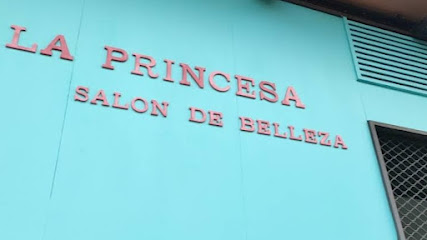 La princesa Salón de Belleza. - Opiniones y Contacto